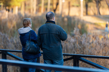 A couple of elderly people are walking in the park on an autumn evening at sunset.