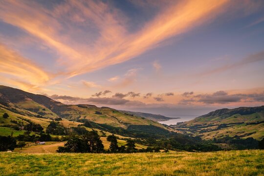 Green meadow in front of a lake with a blue sky in the background, Banks Peninsula, New Zealand