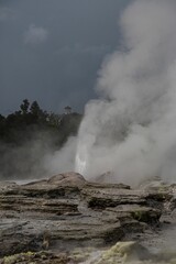 Vertical shot of a hot spring with smoke surrounded by vegetation in Rotorua, New Zealand