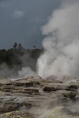 Vertical shot of a hot spring with smoke surrounded by vegetation in Rotorua, New Zealand