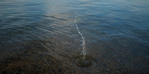 Splash and circles from a stone on the calm water of a lake