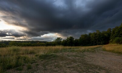 Naklejka na ściany i meble Scenic view of a field surrounded by lush green vegetation with dark clouds in the sky