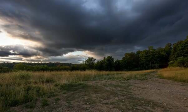 Scenic view of a field surrounded by lush green vegetation with dark clouds in the sky