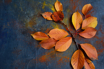 Fototapeta na wymiar Creative layout of autumn orange leaves in the form of a bird on a dark blue background. Flat lay. Season concept