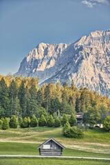 Vertical shot of mesmerizing rocky mountains in the background of green forest