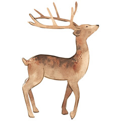 Watercolor hand drawn deer. Christmas wild animal. Illustration of cute mammal for festive winter design.