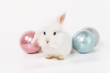 White Rabbit playing with pink and grey balls on white bed. Little curious bunny lying over white blanket looking at camera.