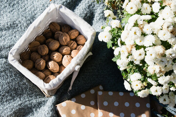 Books, white autumn chrysanthemum flowers and nuts on a blanket. Autumn still life, a feeling of coldness in the air and the warmth of the sun