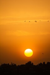 Vertical shot of the beautiful golden sunset