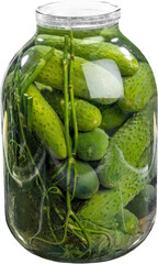 Jar of homemade pickles