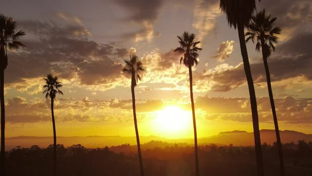 Aerial shot of dramatic clouds and the setting sun behind a row of palm trees. Los Angeles California.