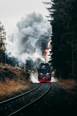 Vertical shot of the train locomotive. Harz Mountains, Schierke, Germany