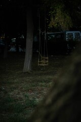 Beautiful view of a wooden swing hanging on a tree in a park