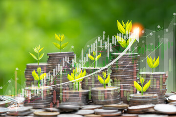 Business Financial and Saving Money concept.Money coin stack for growing with piggy bank,income growing in the future,Business Finance, Earning, benefits, Capital,Save Money, fund,bond,Market growth