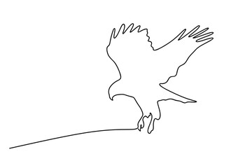 One line bird. one line sketches of Common Buzzard bird. Buzzard bird black white art outline vector hand drawn illustration. Hand drawn continuous line sketch.