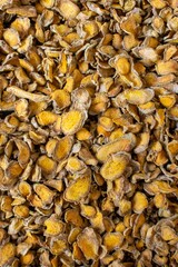 Curcuma ou açafrão-da-terra seco