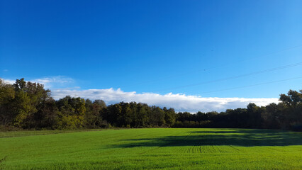 Paesaggio naturale in una giornata d'autunno