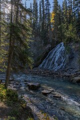 Vertical shot of a river flowing between spruces