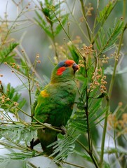 Vertical shot of a green musk lorikeet bird perched on a tree branch