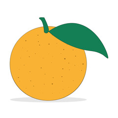 Vector illustration of an orange with a branch and a leaf, with a falling shadow, isolated on a white background.