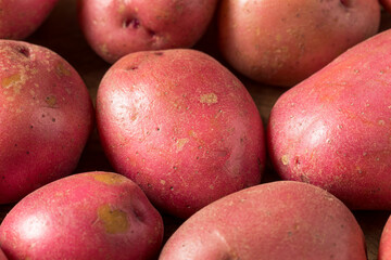 Raw Red Organic Potatoes