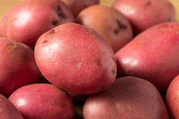 Raw Red Organic Potatoes