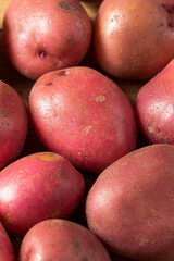 Raw Red Organic Potatoes
