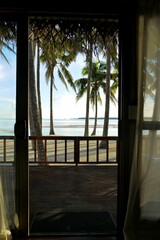 Terrace view of the coconut trees in the beach