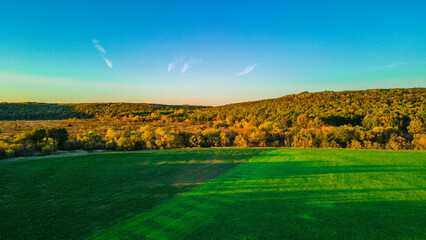 autumn wildlife in the countryside