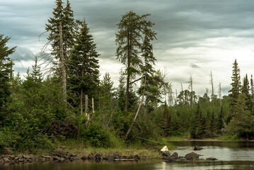 Canadian Shield - Lake Superior Provincial Park
