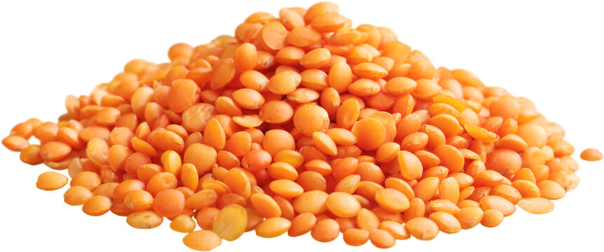 Lentils - Isolated