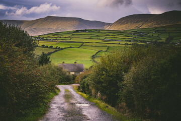 landscape with road and cabin in Ireland, farmland and sheep, green hills