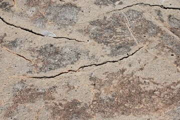 cracked soil texture
