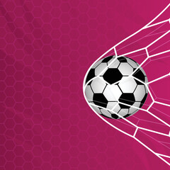 Soccer ball in the goal net, vector on red modern background