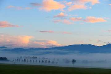 Fototapeta premium Nebel in der herbstlichen Landschaft