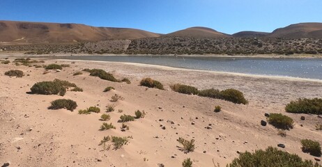 Fototapeta na wymiar view of the lake in Atacama desert of Chile
