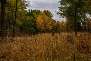 Fall Foliage - Lake Bob Sandlin SP-6559