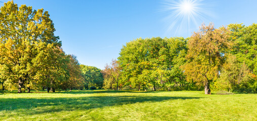 Green field lawn panorama landscape and autumn sunset forest with green trees