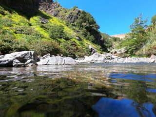 Fototapeta na wymiar river in the mountains