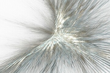 Obraz premium background with feathers art lines illustration design concepts 