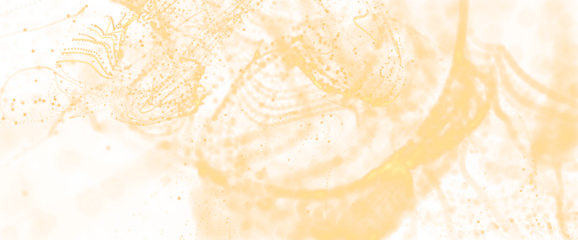 sphere network structure - abstract design connection design