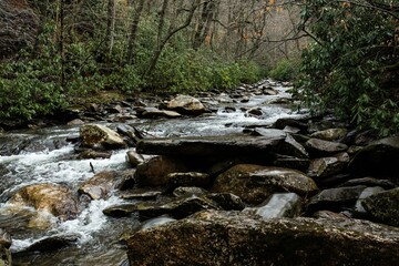 Beautiful view of a river flowing through stones in a forest