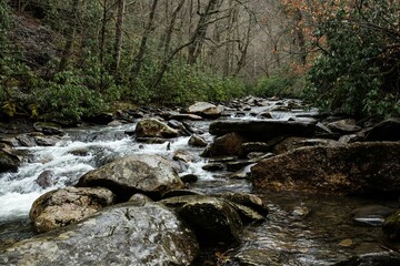 Beautiful view of a river flowing through stones in a forest