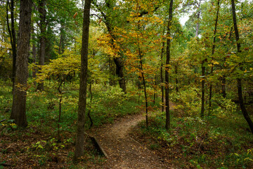 Fall Foliage - Lake Bob Sandlin SP-6614