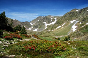 Low-angle of a landscape with Pic du Midi d'Ossau peak view, valleys covered with grass and irises © Jordi Figueras/Wirestock Creators
