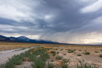 Fototapeta na wymiar Rain clouds gather over Great Basin National Park and the Snake Mountain Range near Baker, Nevada. The approaching storm darkens the sky and sends down dark tendrils of rain.