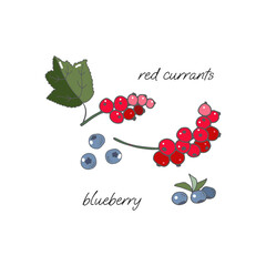 Sprigs and berries of blueberries, sprigs of red currant and leaves on a white background