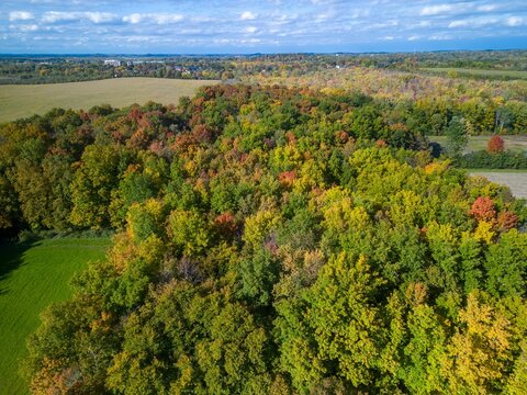Aerial view of the Stunning foliage in Auburn New York