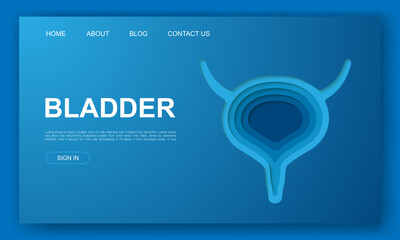 Bladder 3d paper cut style website template. Reproductive system paper cut illustration. Organ symbol for landing page, advertising page.