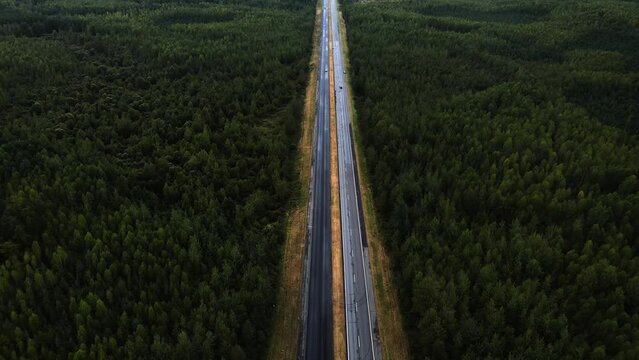 highways through dense forest, drone shooting, view from the top, straight highway